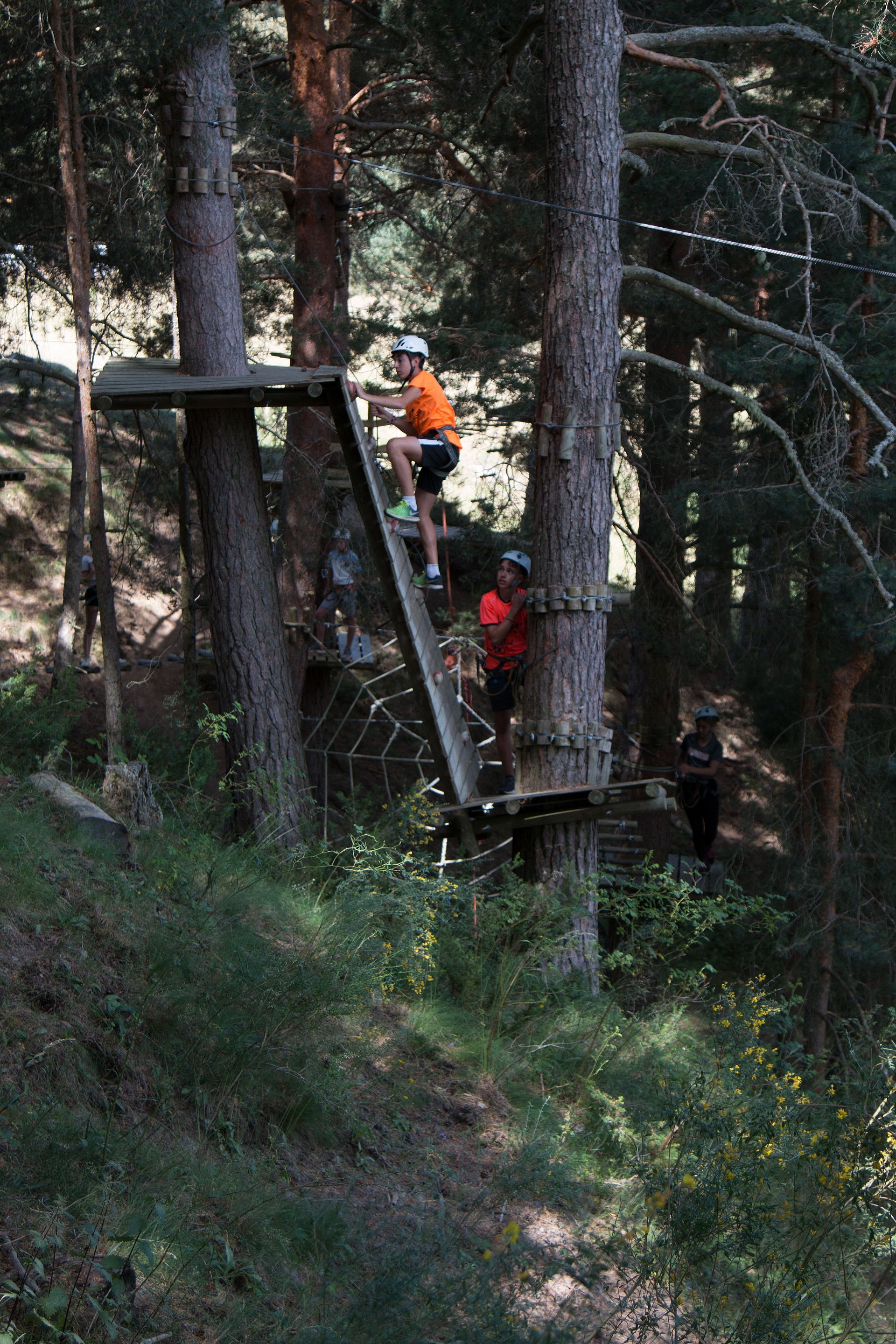 gredosactivo-com_btt_parque_de_cuerdas_gredos_turismo_activo_0034.jpg | Parque de Cuerda