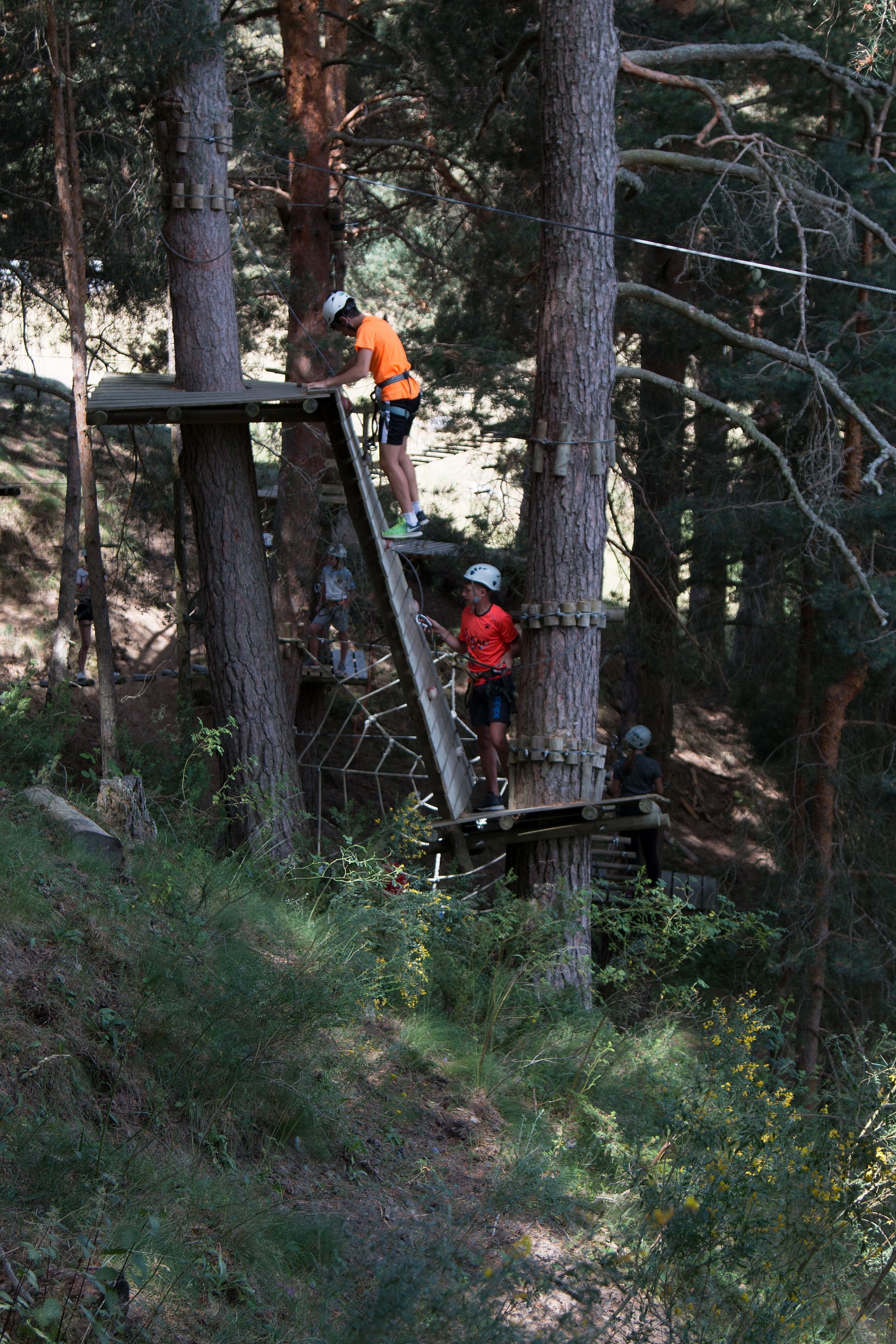 gredosactivo-com_btt_parque_de_cuerdas_gredos_turismo_activo_0038.jpg | Parque de Cuerda