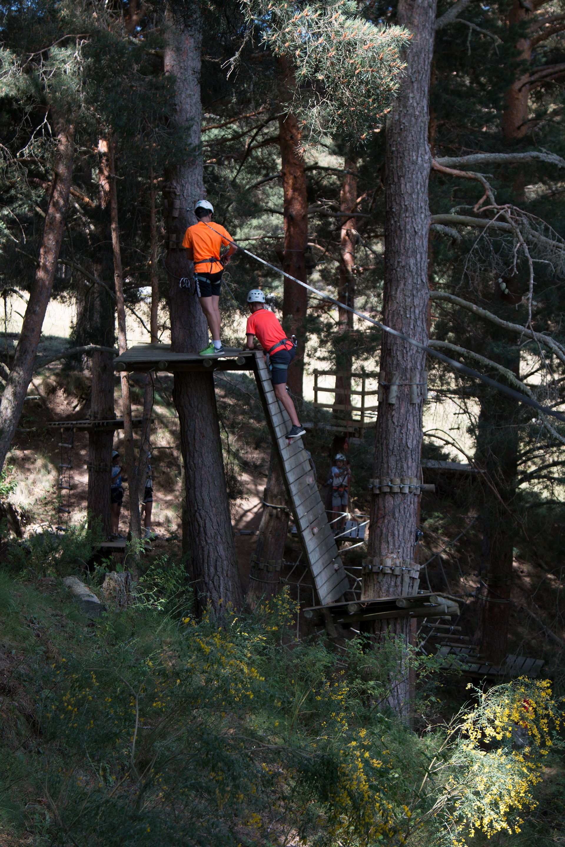 gredosactivo-com_btt_parque_de_cuerdas_gredos_turismo_activo_0042.jpg | Parque de Cuerda